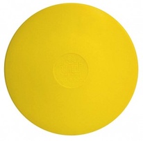 Disk plný - hmotnost 300g DSK - 0,3